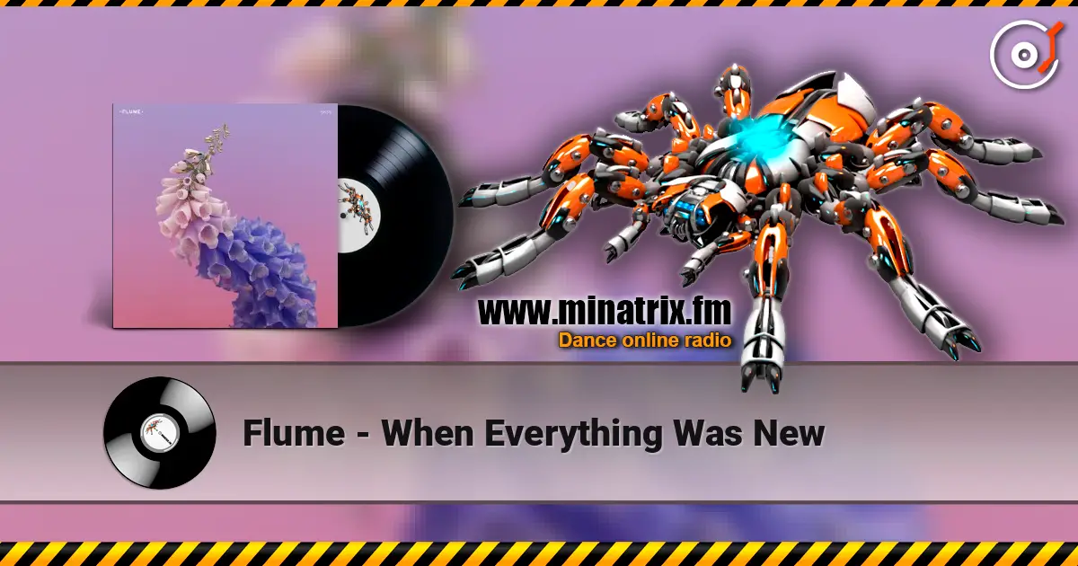 Flume - When Everything Was New жоғары сапада онлайн тыңдау | Minatrix.FM
