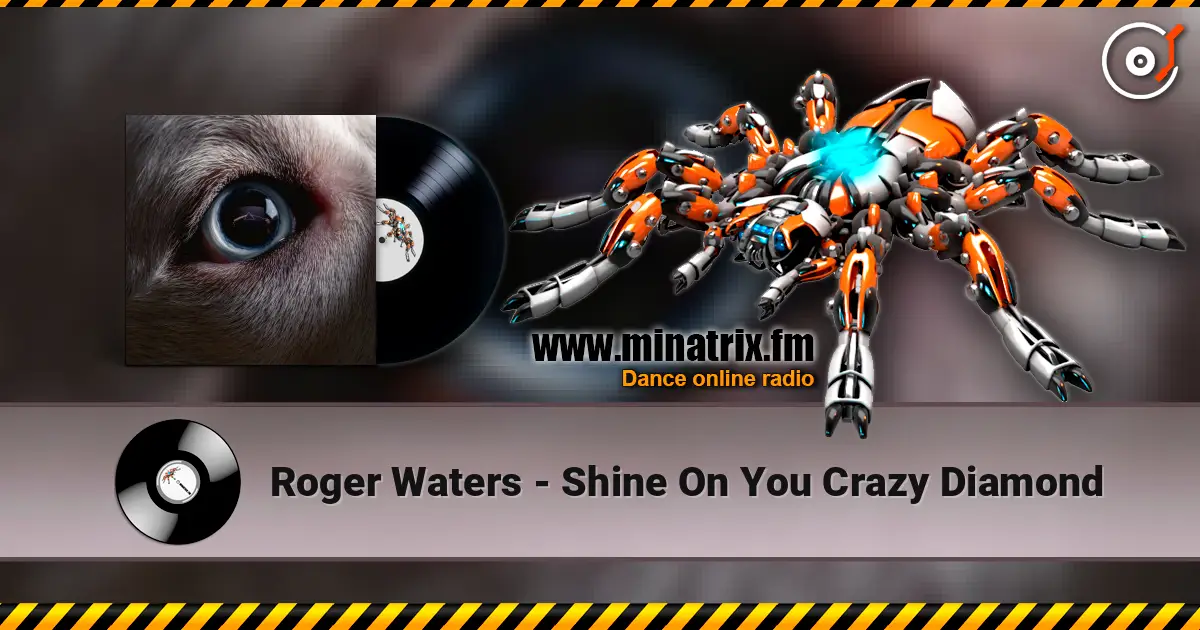 Roger Waters - Shine On You Crazy Diamond жоғары сапада онлайн тыңдау | Minatrix.FM
