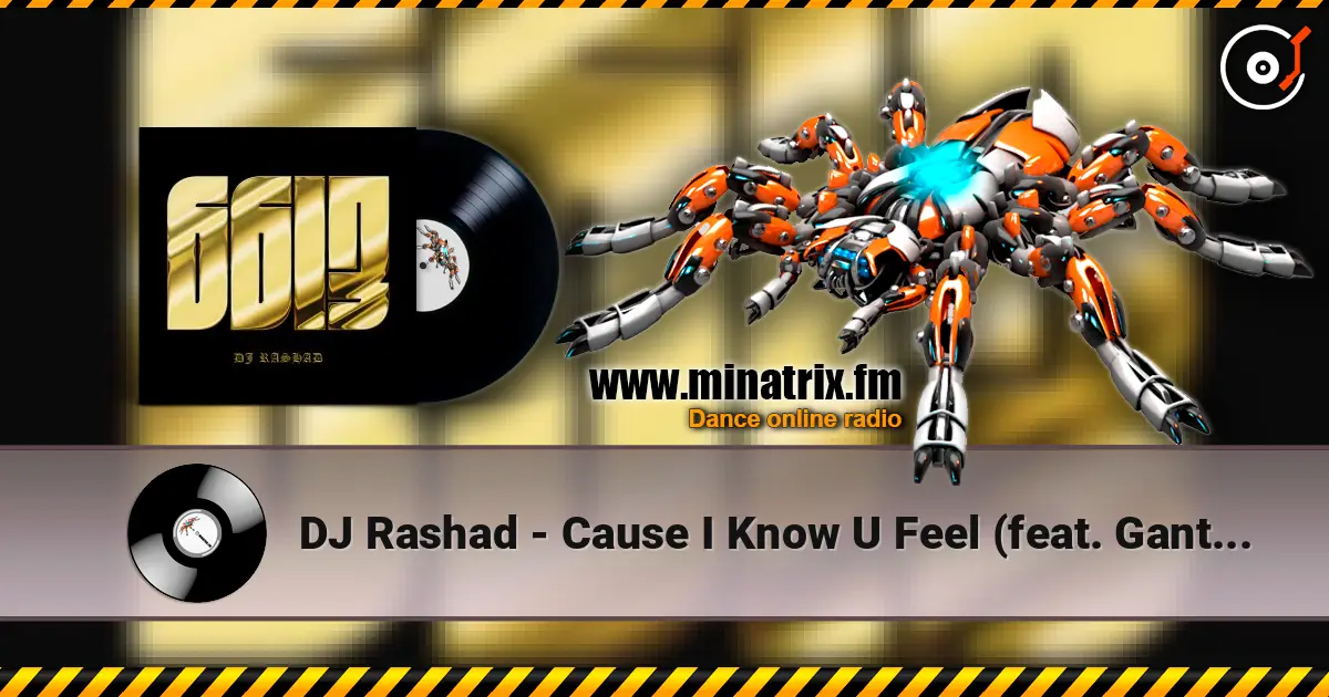 DJ Rashad - Cause I Know U Feel (feat. Gant-Man) жоғары сапада онлайн тыңдау | Minatrix.FM
