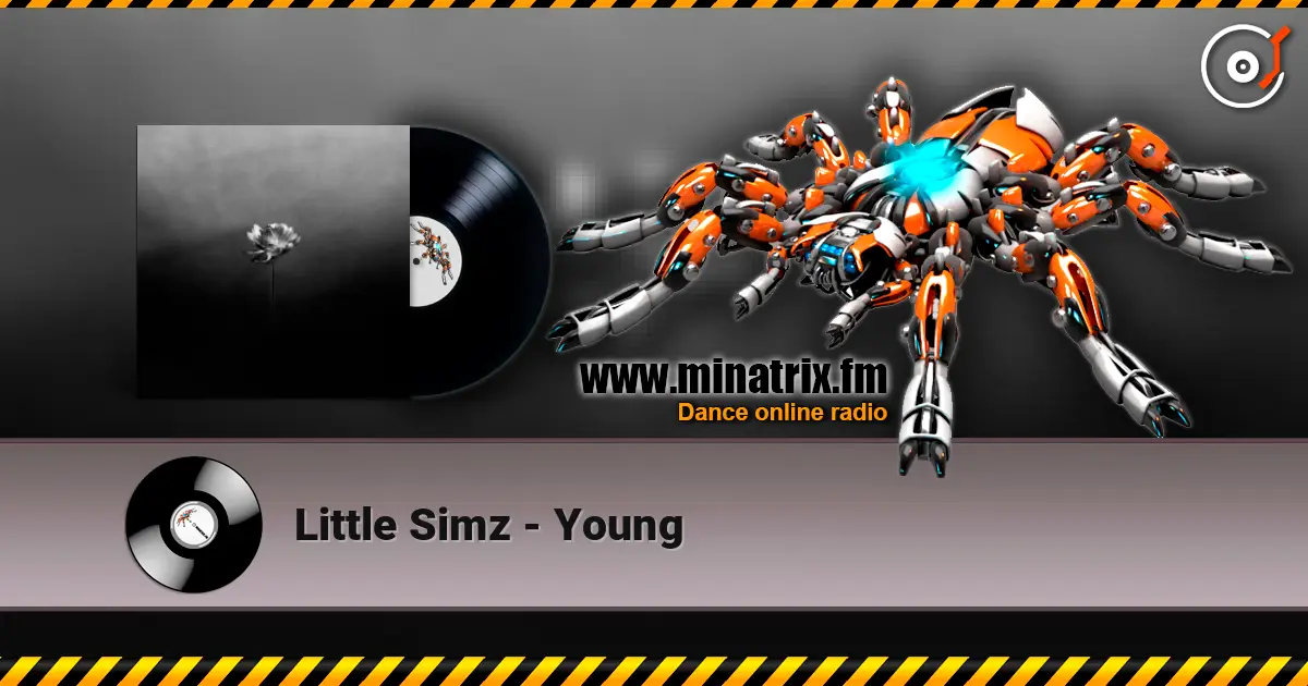 Little Simz - Young 高品质在线收听 | Minatrix.FM