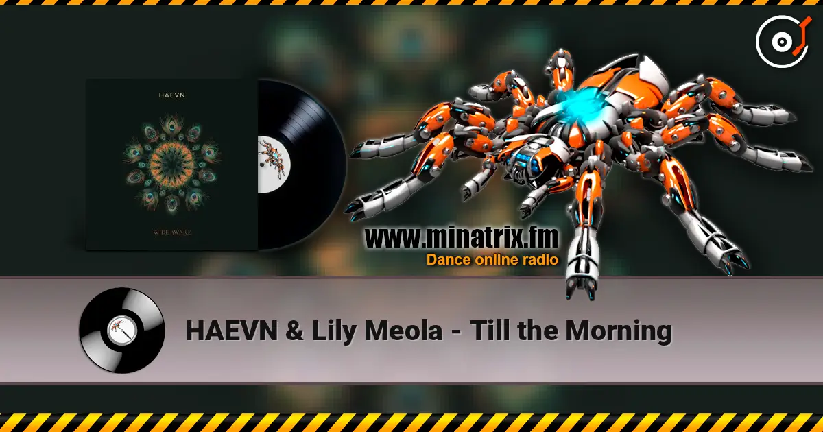 HAEVN & Lily Meola - Till the Morning жоғары сапада онлайн тыңдау | Minatrix.FM