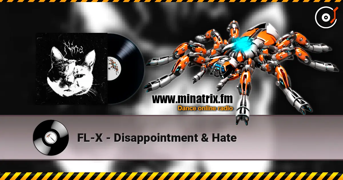 FL-X - Disappointment & Hate жоғары сапада онлайн тыңдау | Minatrix.FM