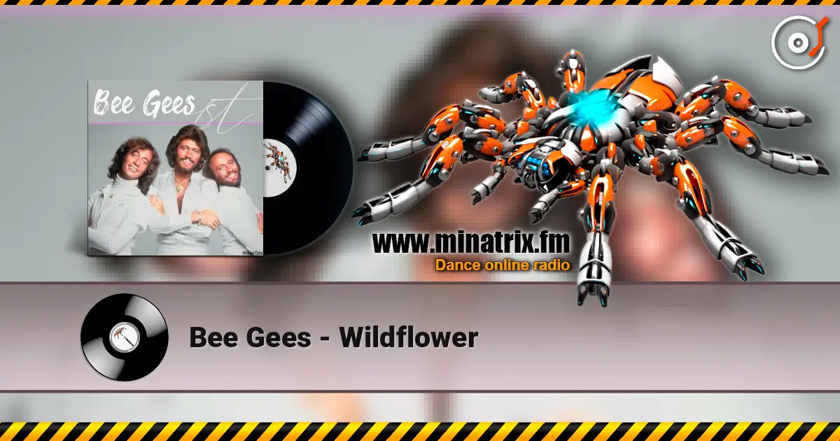 Bee Gees - Wildflower жоғары сапада онлайн тыңдау | Minatrix.FM