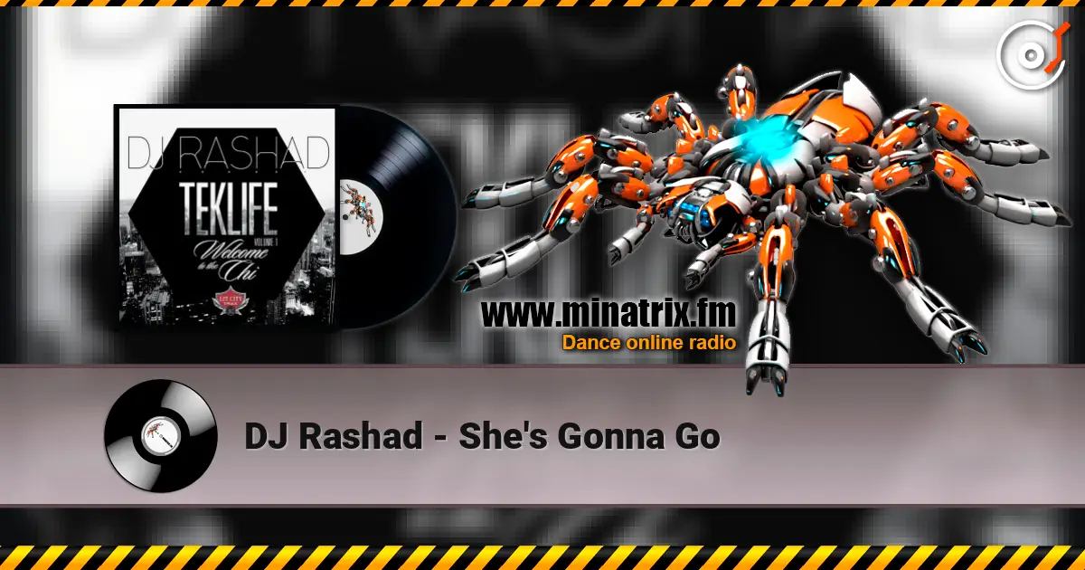 DJ Rashad - She's Gonna Go жоғары сапада онлайн тыңдау | Minatrix.FM