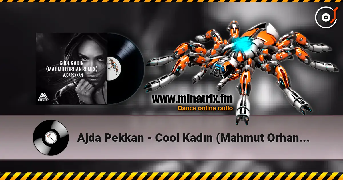 Ajda Pekkan - Cool Kadın (Mahmut Orhan Remix) жоғары сапада онлайн тыңдау | Minatrix.FM