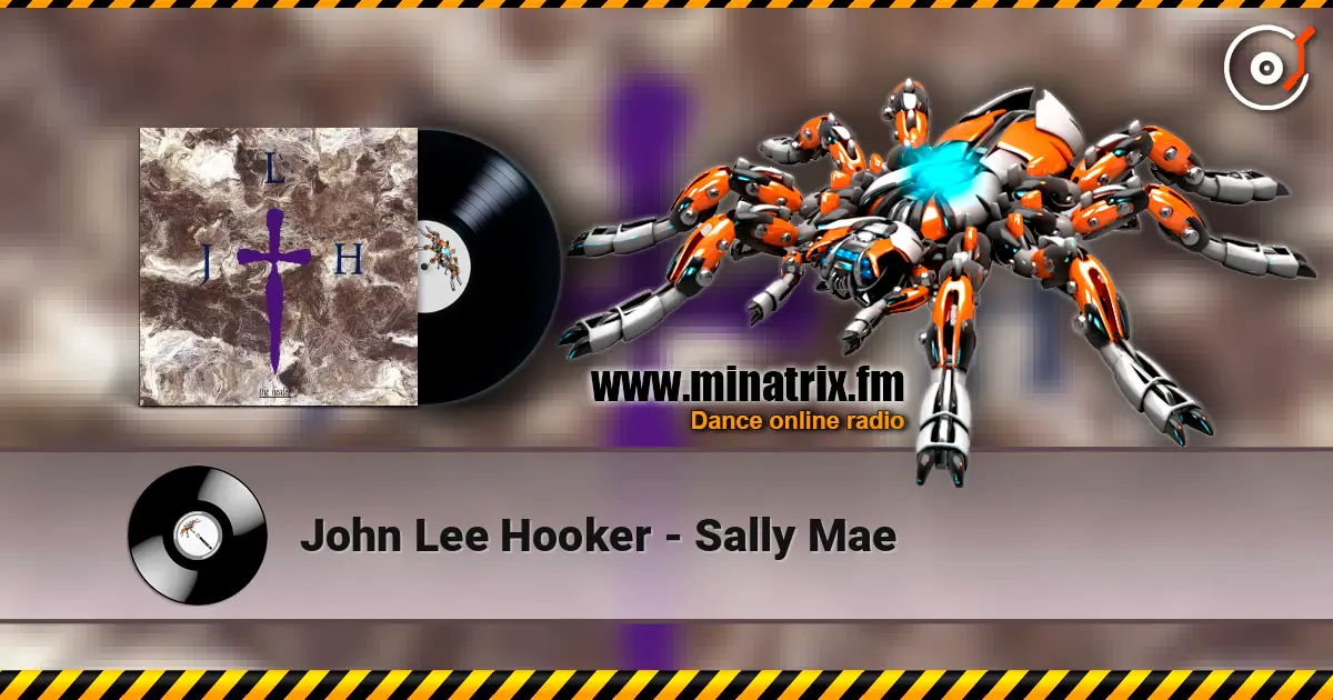 John Lee Hooker - Sally Mae жоғары сапада онлайн тыңдау | Minatrix.FM