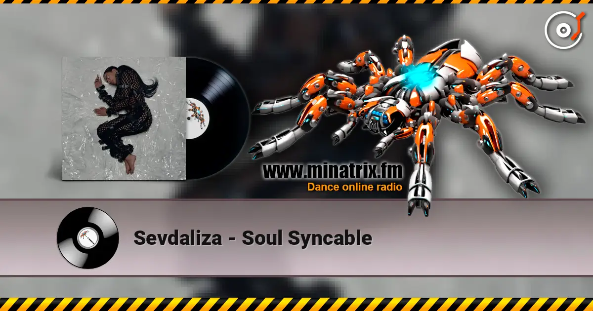 Sevdaliza - Soul Syncable жоғары сапада онлайн тыңдау | Minatrix.FM