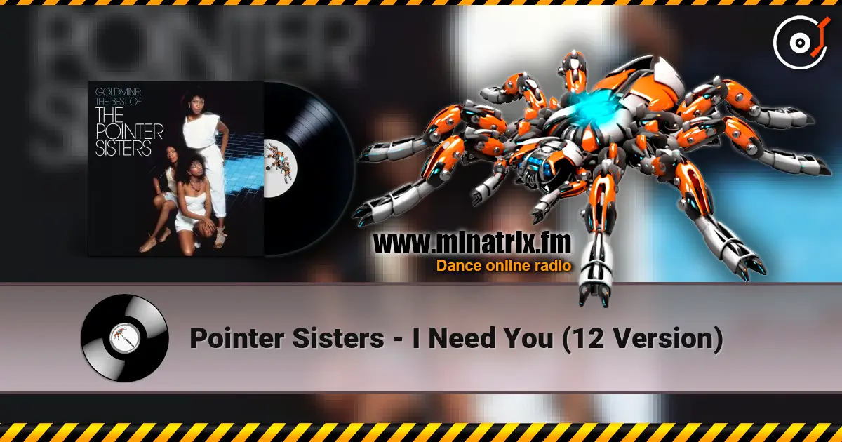 Pointer Sisters - I Need You  (12 Version) жоғары сапада онлайн тыңдау | Minatrix.FM