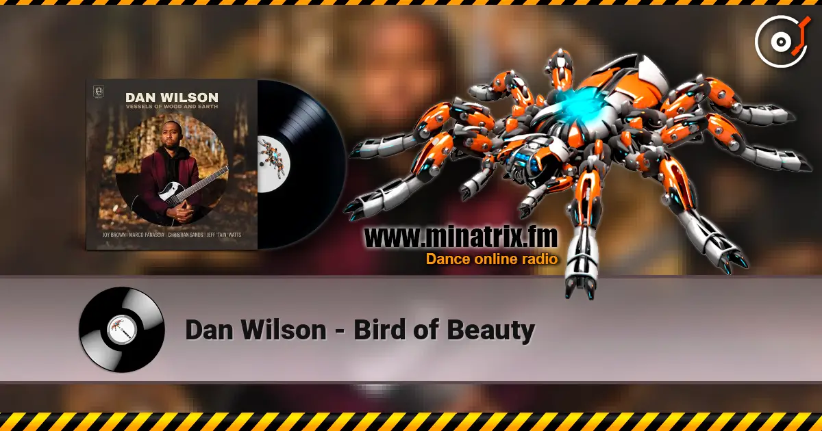 Dan Wilson - Bird of Beauty жоғары сапада онлайн тыңдау | Minatrix.FM