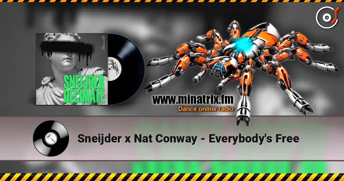 Sneijder x Nat Conway - Everybody's Free жоғары сапада онлайн тыңдау | Minatrix.FM