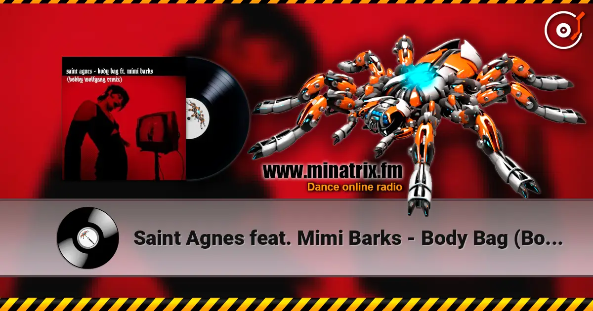 Saint Agnes feat. Mimi Barks - Body Bag (Bobby Wolfgang Remix) жоғары сапада онлайн тыңдау | Minatrix.FM