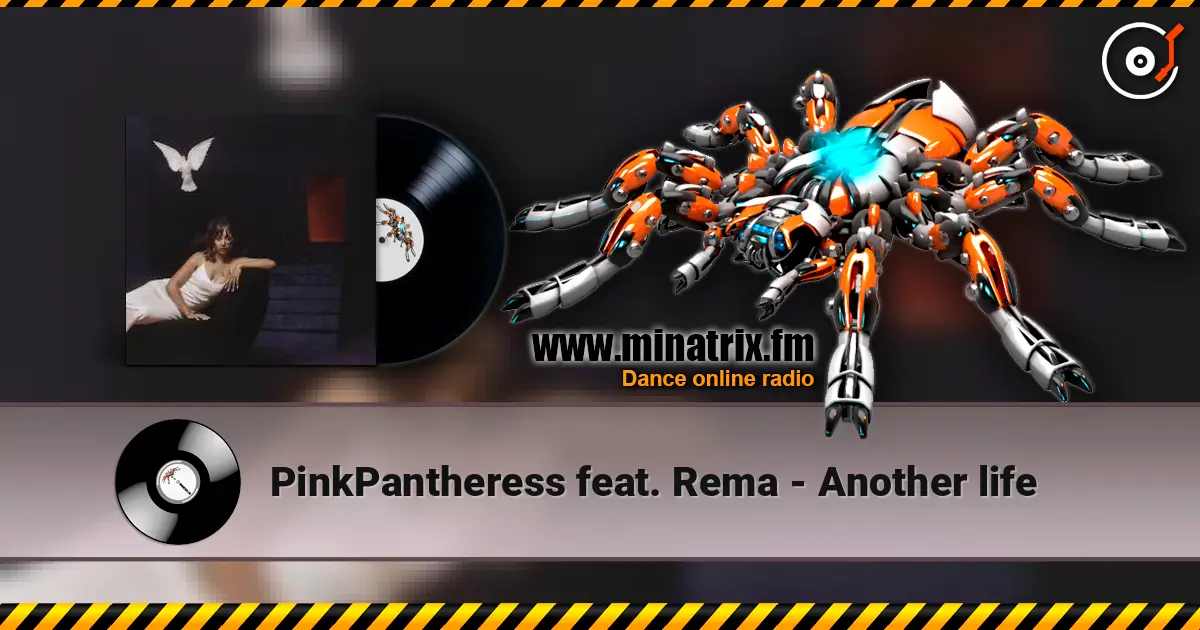PinkPantheress feat. Rema - Another life жоғары сапада онлайн тыңдау | Minatrix.FM