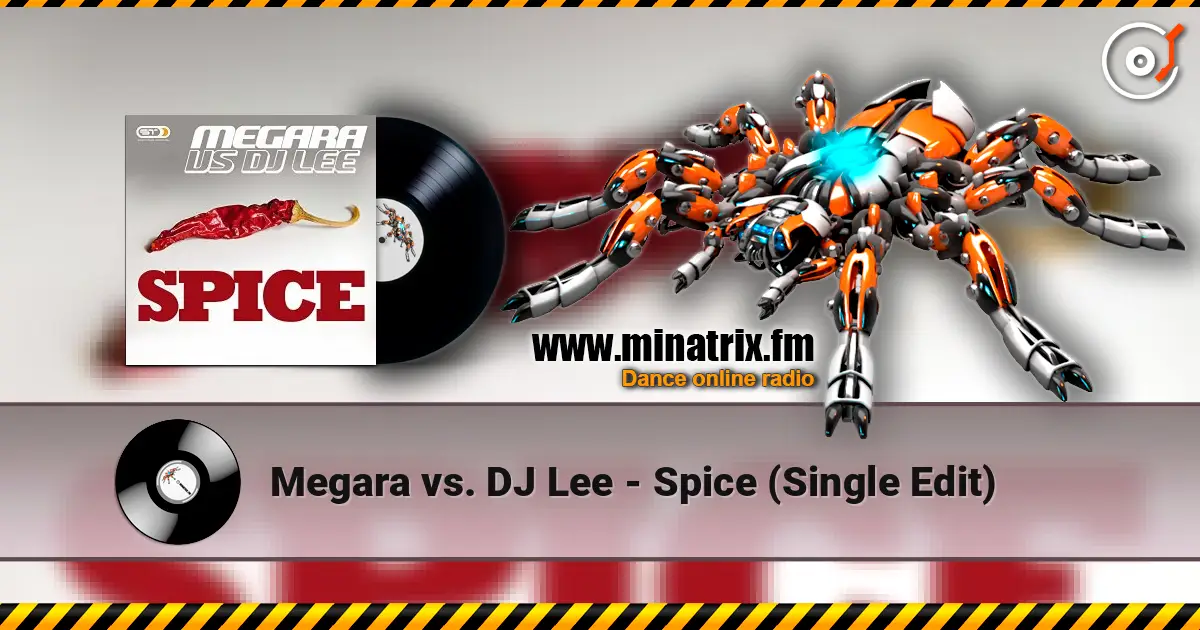 Megara vs. DJ Lee - Spice (Single Edit) жоғары сапада онлайн тыңдау | Minatrix.FM