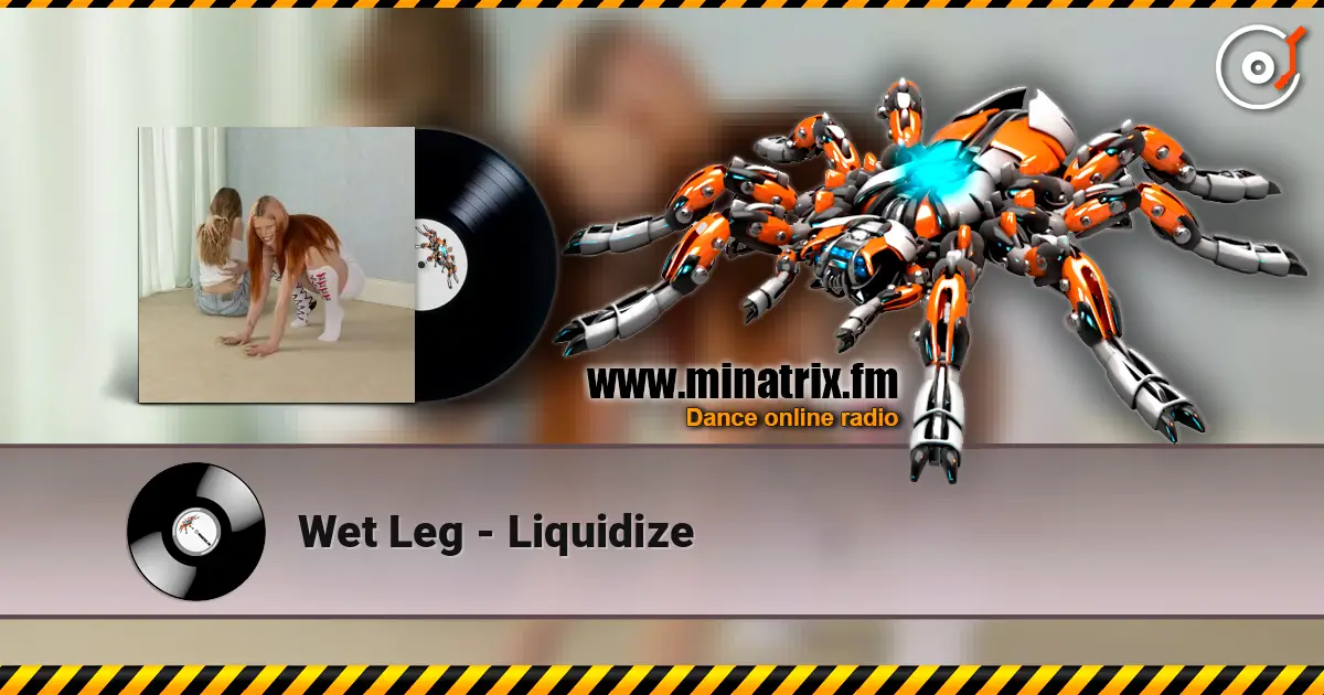 Wet Leg - Liquidize жоғары сапада онлайн тыңдау | Minatrix.FM