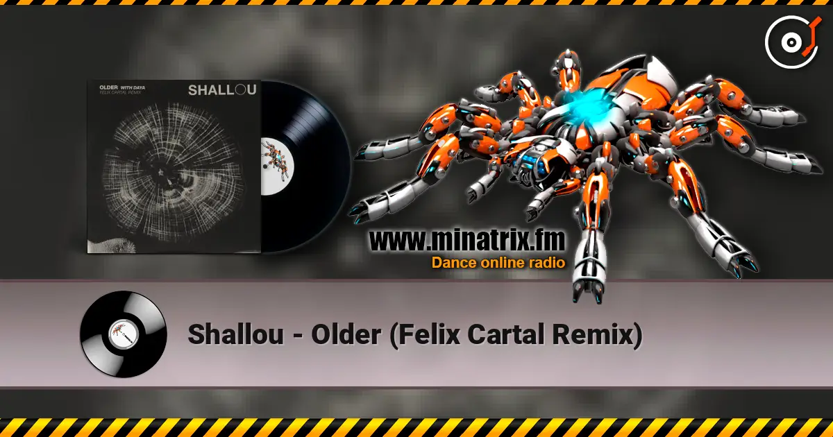 Shallou - Older (Felix Cartal Remix) жоғары сапада онлайн тыңдау | Minatrix.FM