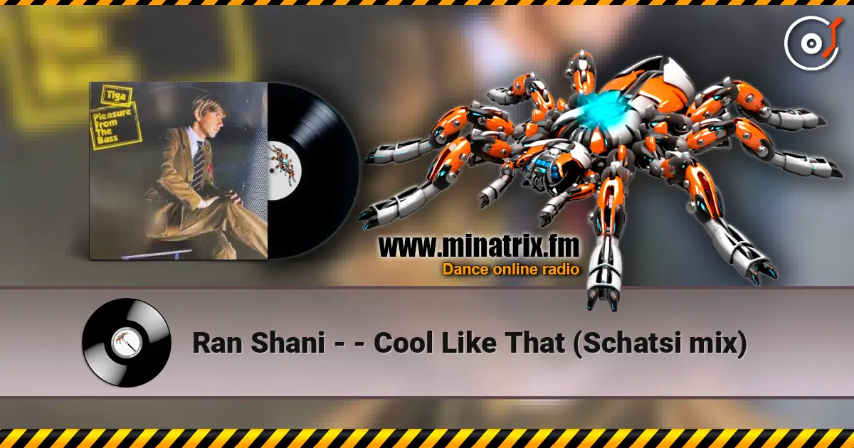 Ran Shani - - Cool Like That (Schatsi mix) 高品质在线收听 | Minatrix.FM