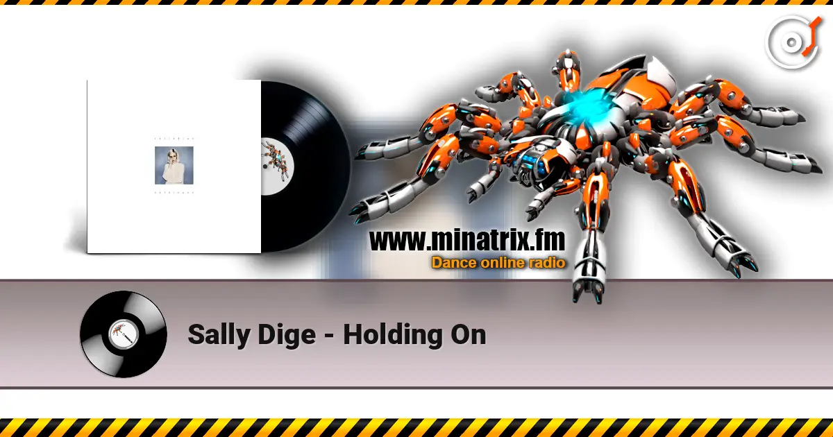Sally Dige - Holding On жоғары сапада онлайн тыңдау | Minatrix.FM