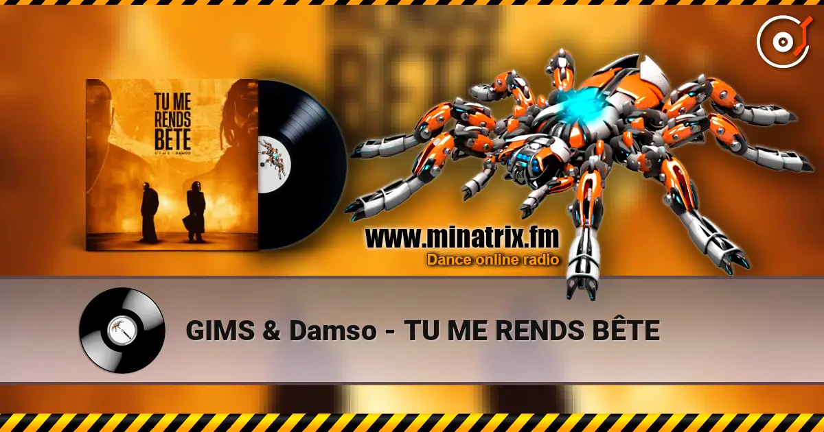 GIMS & Damso - TU ME RENDS BÊTE 高品质在线收听 | Minatrix.FM