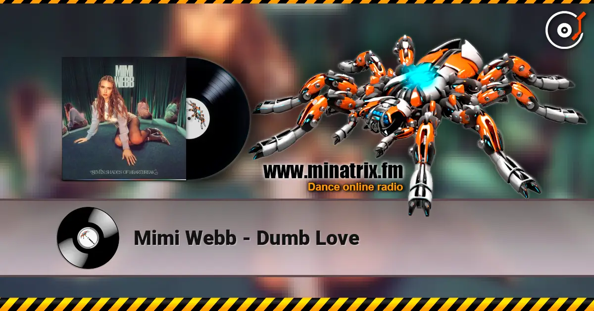 Mimi Webb - Dumb Love жоғары сапада онлайн тыңдау | Minatrix.FM