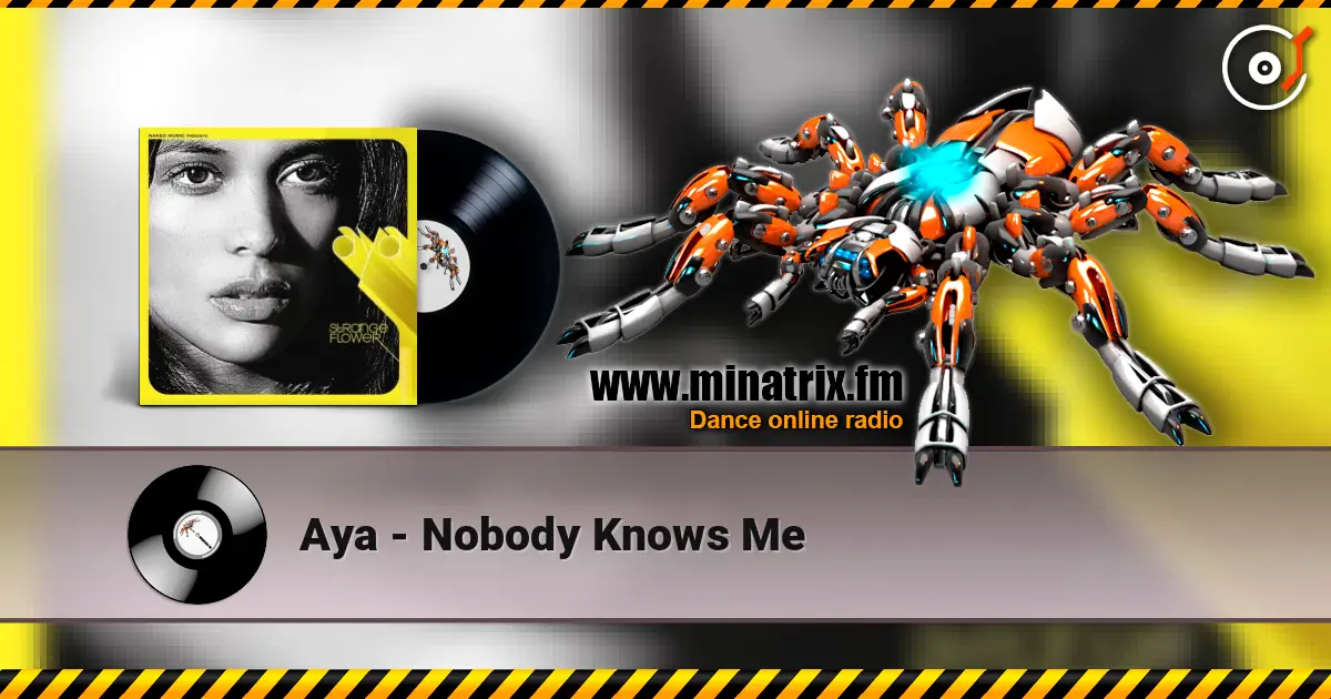 Aya - Nobody Knows Me жоғары сапада онлайн тыңдау | Minatrix.FM