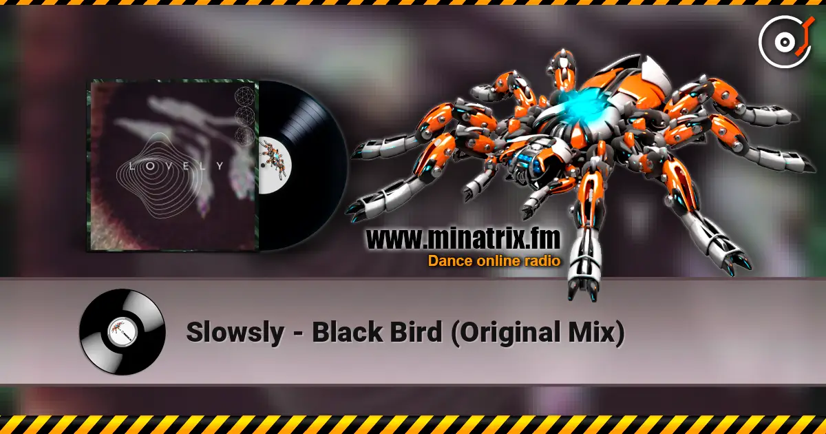 Slowsly - Black Bird (Original Mix) online in hoher Qualität hören | Minatrix.FM
