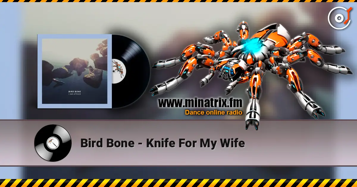 Bird Bone - Knife For My Wife жоғары сапада онлайн тыңдау | Minatrix.FM