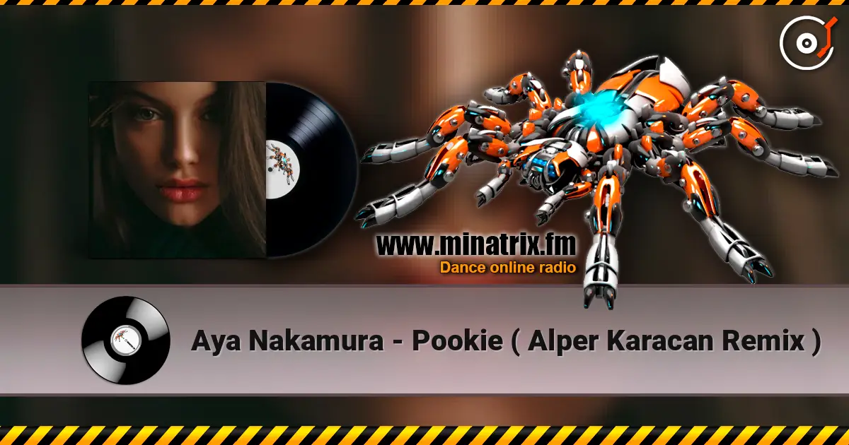 Aya Nakamura - Pookie ( Alper Karacan Remix ) жоғары сапада онлайн тыңдау | Minatrix.FM