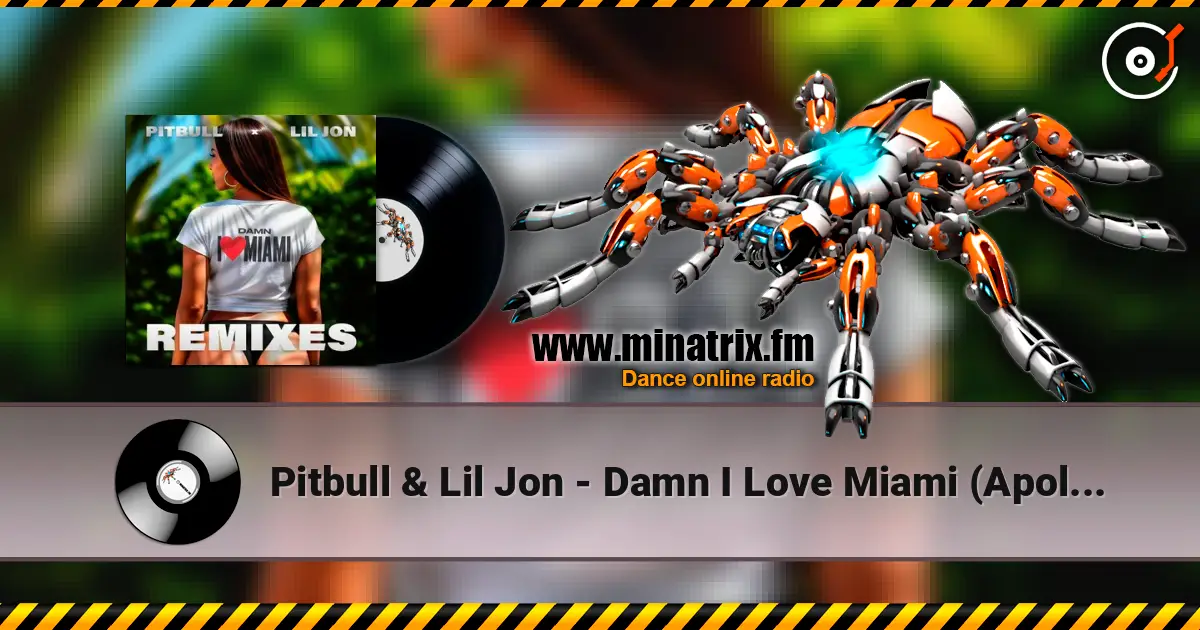 Pitbull & Lil Jon - Damn I Love Miami (Apollo XO Remix) слухати онлайн у високій якості | Minatrix.FM