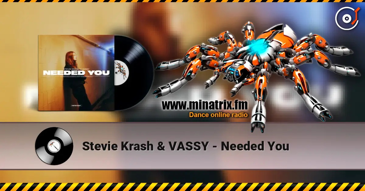 Stevie Krash & VASSY - Needed You жоғары сапада онлайн тыңдау | Minatrix.FM