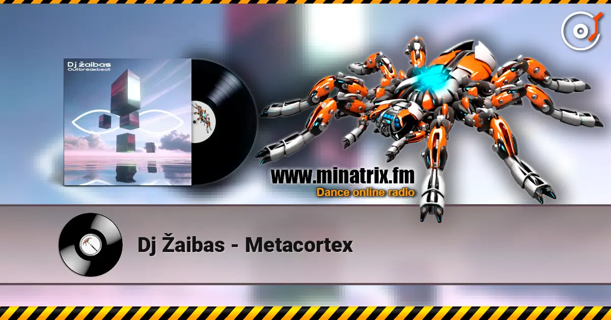 Dj Žaibas - Metacortex жоғары сапада онлайн тыңдау | Minatrix.FM