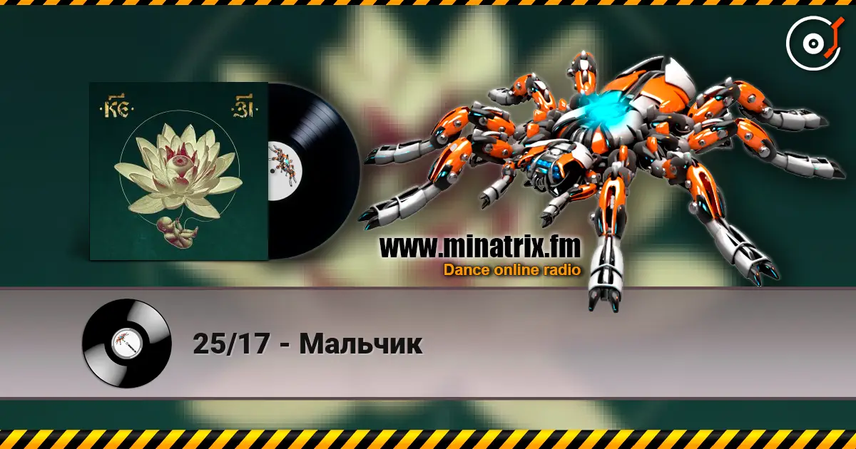 25/17 - Мальчик 高品质在线收听 | Minatrix.FM
