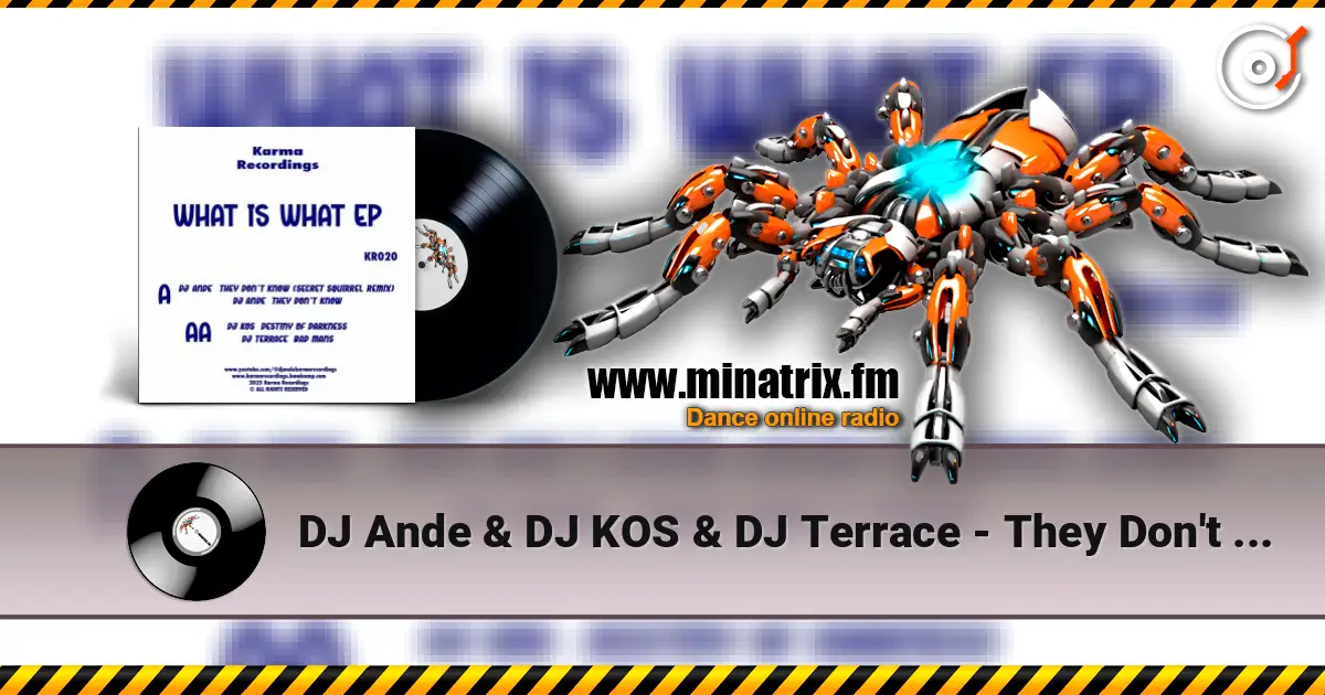 DJ Ande & DJ KOS & DJ Terrace - They Don't Know (Secret Squirrel Remix) 高品质在线收听 | Minatrix.FM