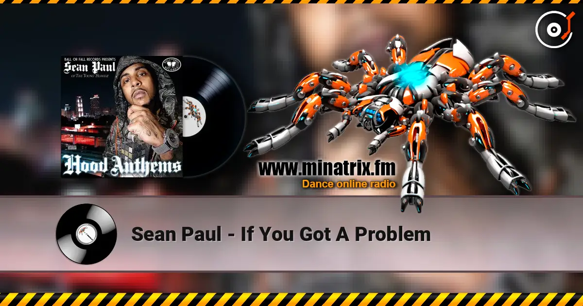 Sean Paul - If You Got A Problem жоғары сапада онлайн тыңдау | Minatrix.FM