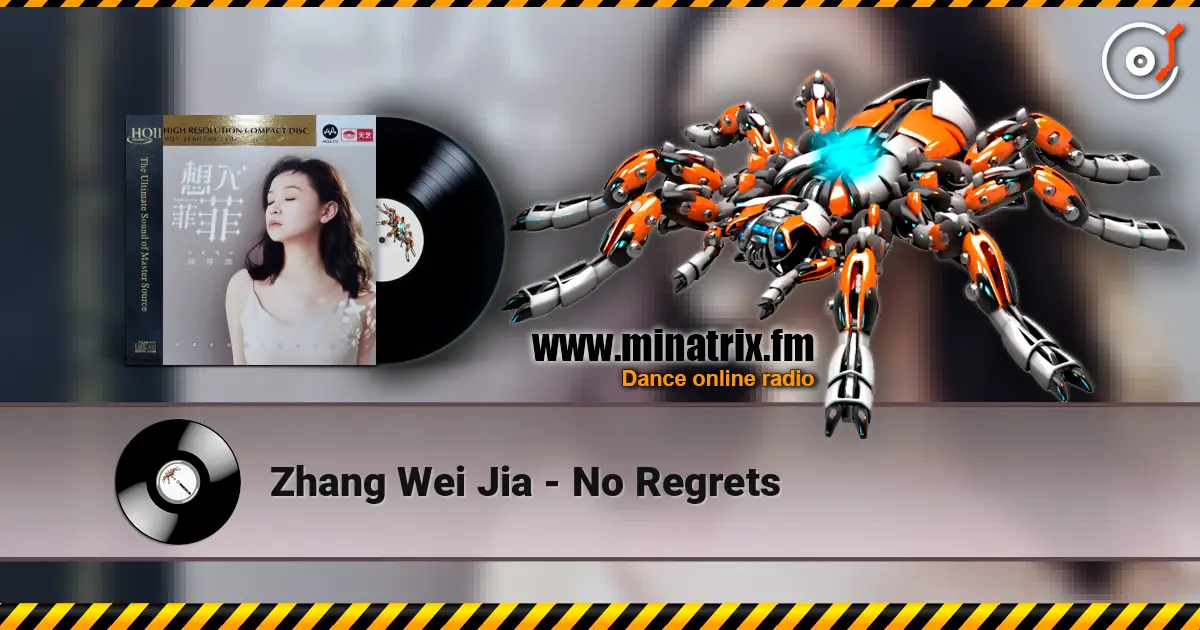 Zhang Wei Jia - No Regrets жоғары сапада онлайн тыңдау | Minatrix.FM