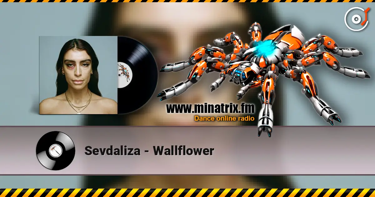 Sevdaliza - Wallflower жоғары сапада онлайн тыңдау | Minatrix.FM