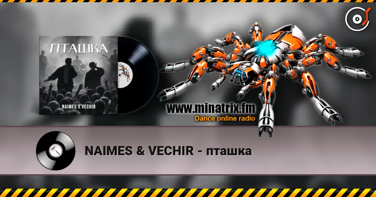 NAIMES & VECHIR - пташка жоғары сапада онлайн тыңдау | Minatrix.FM