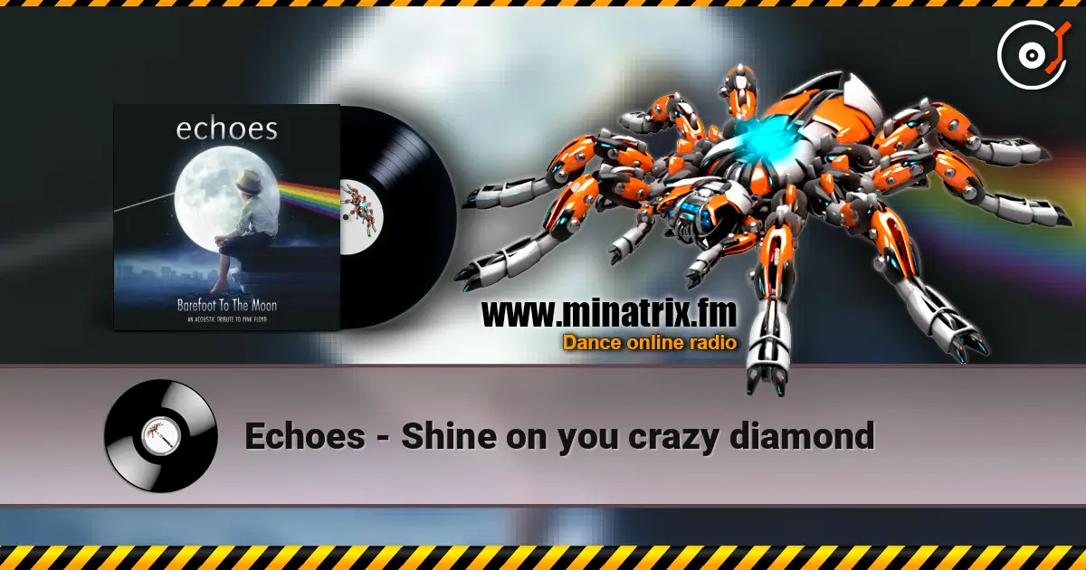 Echoes - Shine on you crazy diamond жоғары сапада онлайн тыңдау | Minatrix.FM