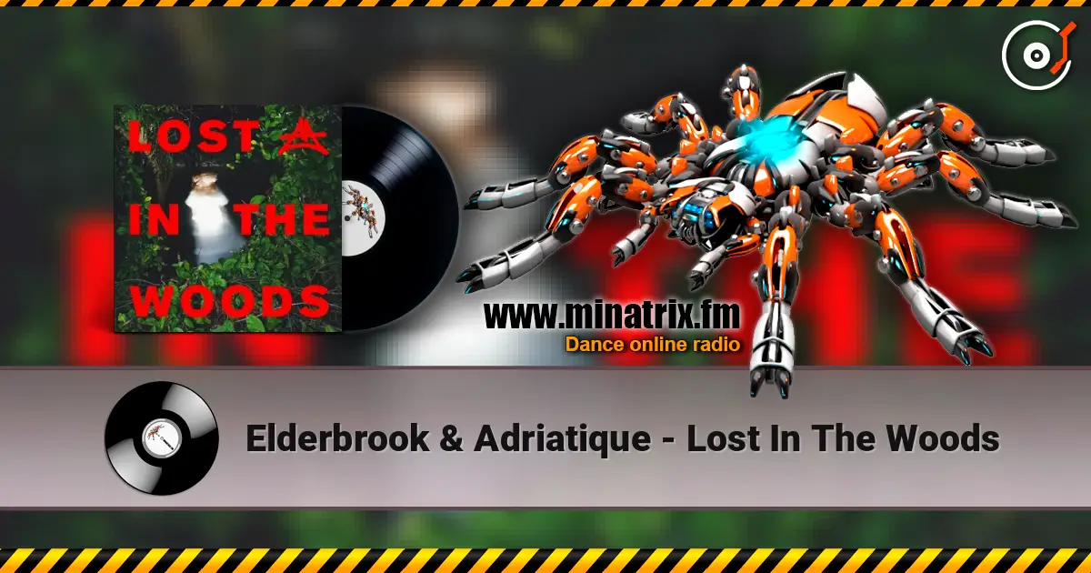 Elderbrook & Adriatique - Lost In The Woods online in hoher Qualität hören | Minatrix.FM
