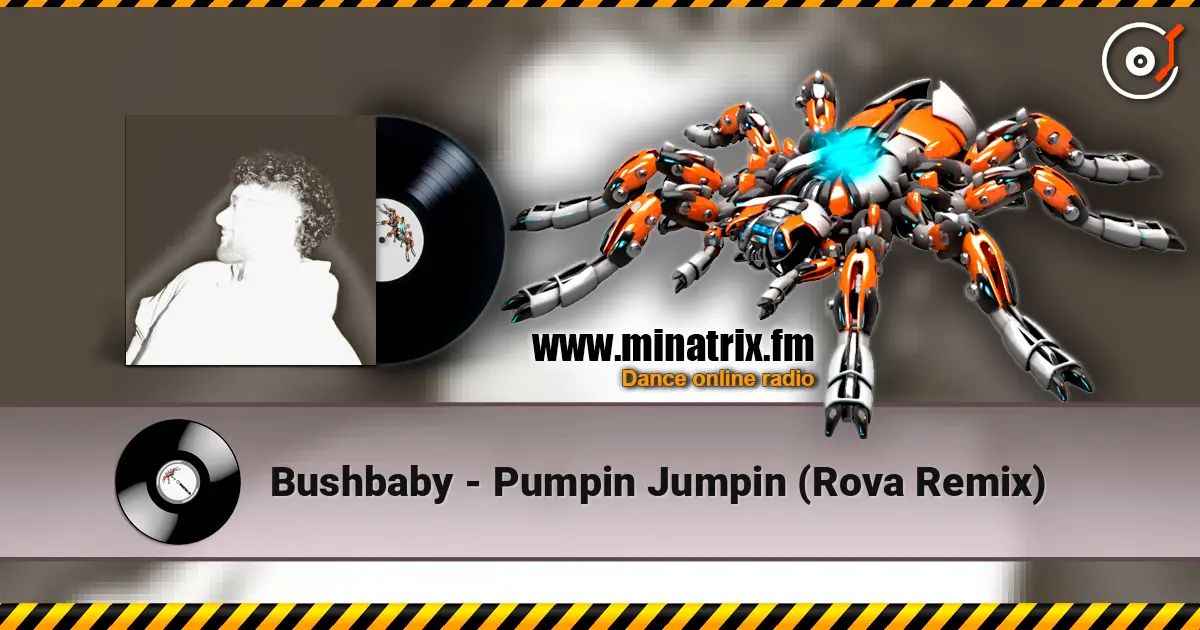 Bushbaby - Pumpin Jumpin (Rova Remix) 高品质在线收听 | Minatrix.FM