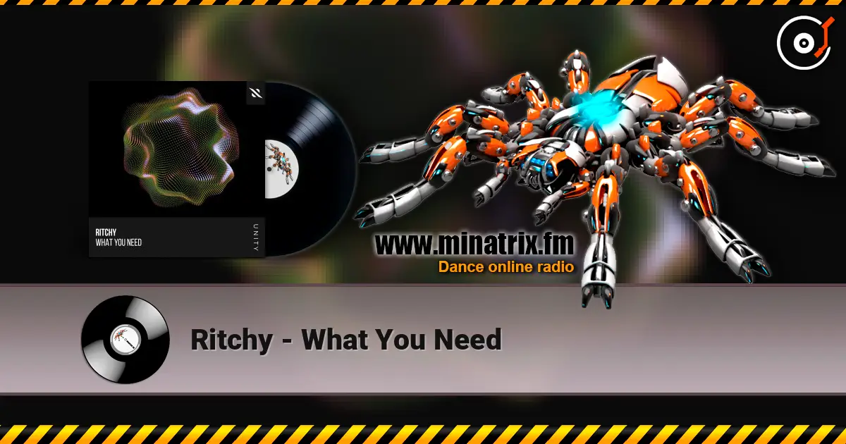 Ritchy - What You Need жоғары сапада онлайн тыңдау | Minatrix.FM