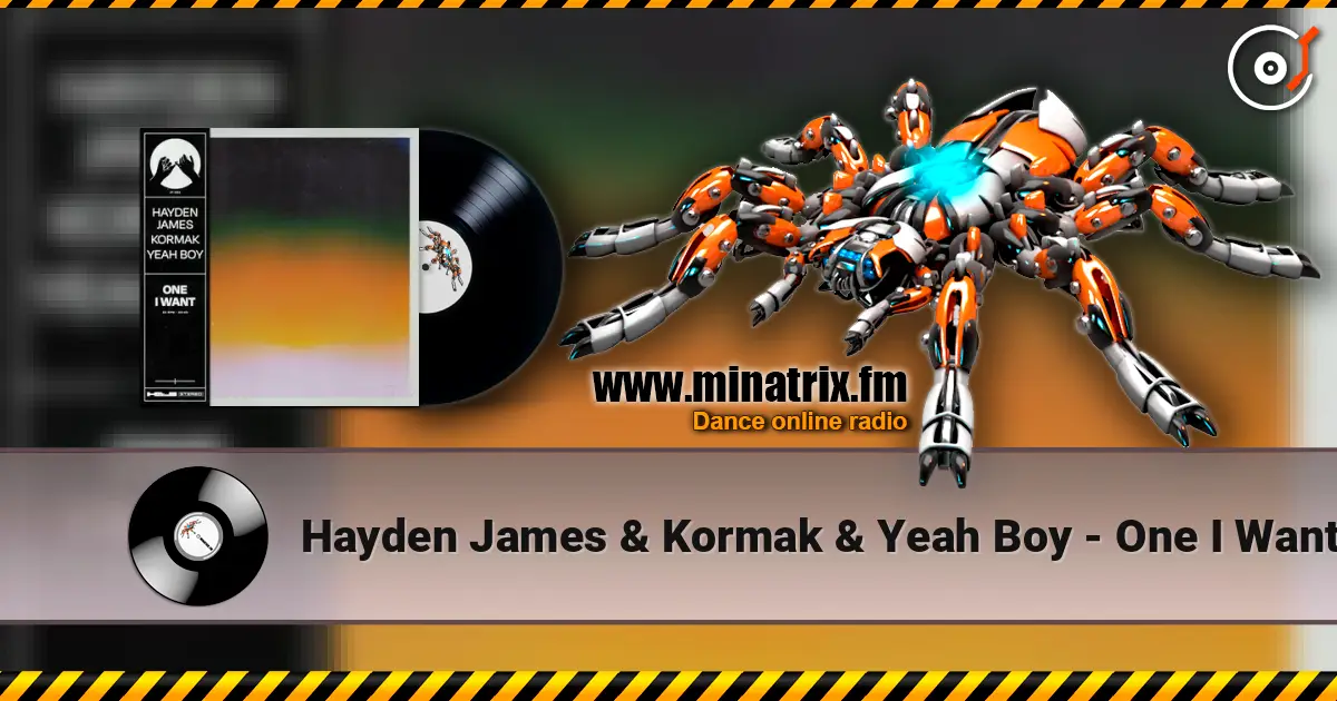 Hayden James & Kormak & Yeah Boy - One I Want listen online in high quality | Minatrix.FM