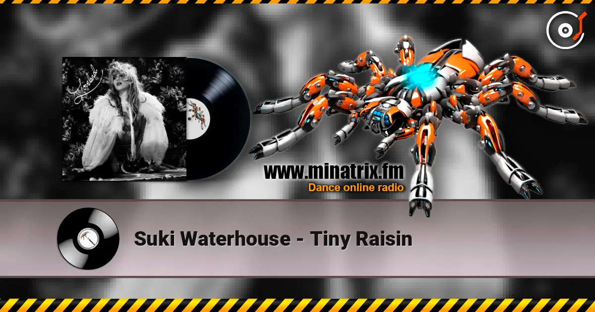 Suki Waterhouse - Tiny Raisin жоғары сапада онлайн тыңдау | Minatrix.FM