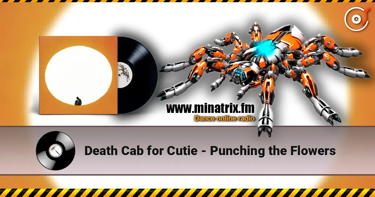 Death Cab for Cutie - Punching the Flowers жоғары сапада онлайн тыңдау | Minatrix.FM