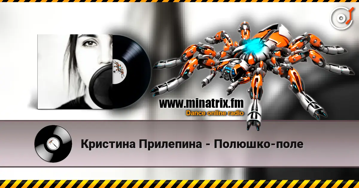 Кристина Прилепина - Полюшко-поле 高品质在线收听 | Minatrix.FM