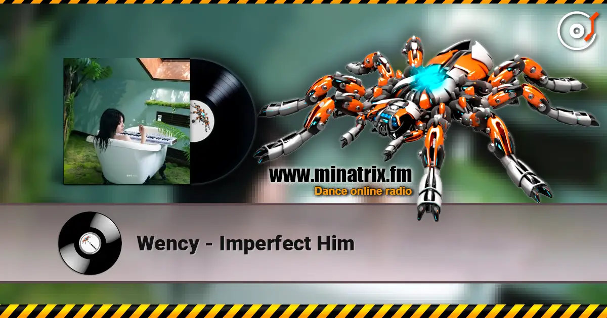 Wency - Imperfect Him жоғары сапада онлайн тыңдау | Minatrix.FM