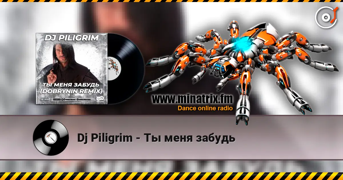 Dj Piligrim - Ты меня забудь жоғары сапада онлайн тыңдау | Minatrix.FM