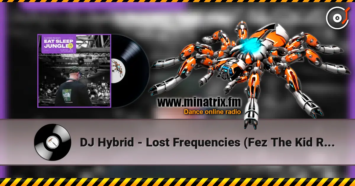 DJ Hybrid - Lost Frequencies (Fez The Kid Remix) жоғары сапада онлайн тыңдау | Minatrix.FM