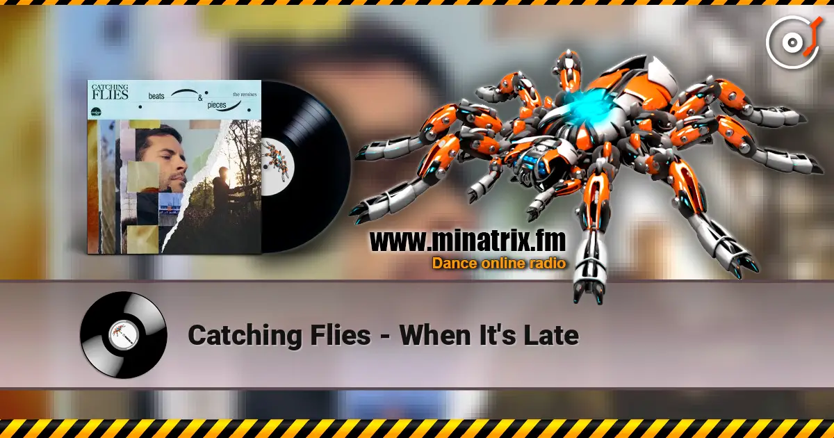 Catching Flies - When It's Late жоғары сапада онлайн тыңдау | Minatrix.FM