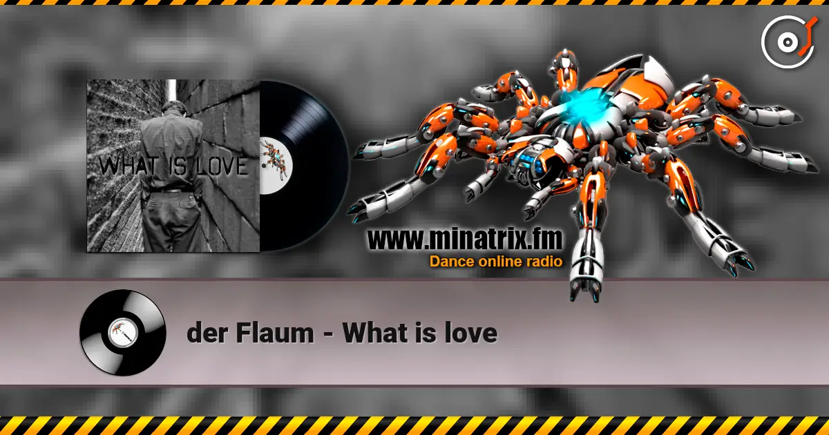 der Flaum - What is love жоғары сапада онлайн тыңдау | Minatrix.FM