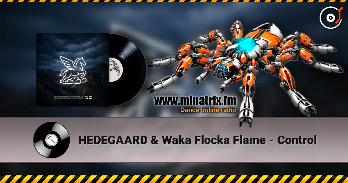 HEDEGAARD & Waka Flocka Flame - Control escuchar online en alta calidad | Minatrix.FM